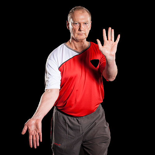 Dai-SiFu Michael Schwarz 